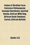 Fauna of Burkina Faso: Spotted Hyena-