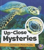 Up-Close Mysteries: Zoomed-In Photo Puzzles (A+ Books)