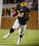 Rashard Mendenhall Pittsburgh Steelers Throwback Jersey Signed 16x20 Photo