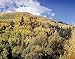 Autumn Aspens Photograph - Beautiful 16"x20" Photographic Print by Carol M. Highsmith