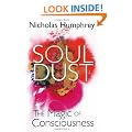 Soul Dust: The Magic of Consciousness