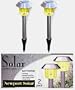 Solar Stainless Steel Hut Light Amber Set of 2