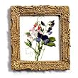 Lathyrus Odoratus - Gold Frame Magnet with pop-out easel (2-3/4" x 2-1/2")