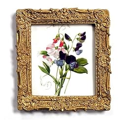 Lathyrus Odoratus - Gold Frame Magnet with pop-out easel (2-3/4" x 2-1/2")