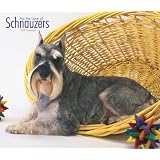Schnauzers, For the Love of 2008 Deluxe Wall Calendar