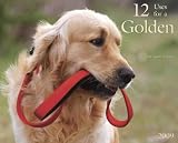 12 Uses for a Golden 2009 Wall Calendar 13 X 10.5