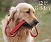 golden retriever - 12 Uses for a Golden 2009 Wall Calendar 13