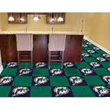 BSS - Miami Dolphins NFL Team Logo Carpet Tiles