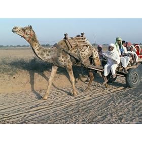 Riding in a Camel Cart, Jodhpur, Rajasthan State, India Photographic Poster Print by Alain Evrard, 16x12