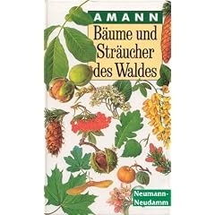 B�ume und Str�ucher des Waldes