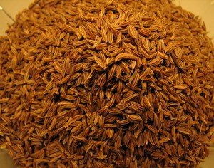 Caraway Seeds Culinary Spice – 8oz