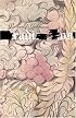 Radi Os