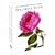 The Royal Horticultural Society Address Book and Birthday Book: Boxed Set (Rhs)