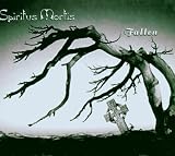 Fallen (Dig)