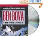 The Precipice (The Asteroid Wars)