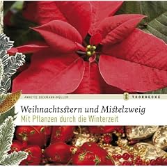 Weihnachtsstern und Mistelzweig: Mit Pflanzen durch die Winterzeit