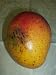 Dekorationsobst Mango gelb t�uschend echt