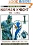 Norman Knight AD 950-1204 (Warrior)