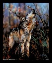 Dan Mcmanis Gray Wolf Howling Animal Gold Wood-Mounted Art Poster Print - 16" X 20"