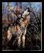 Dan Mcmanis Gray Wolf Howling Animal White Wood-Mounted Art Poster Print - 16" X 20"