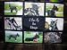   - I Love My Giant Schnauzer Personalized Photo Tote Bag Navy Blue