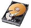 Western Digital 80GB 7200RPM 2MB CACHE IDE Bulk/OEM Hard Drive WD800BB