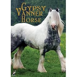 Gypsy Vanner Horse