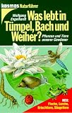 Was lebt in T�mpel, Bach und Weiher? - Wolfgang Engelhardt