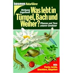 Was lebt in T�mpel, Bach und Weiher?