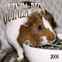 Guinea Pigs 2000 Calendar