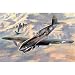 1/48P-40E �E�H�[�z�[�N