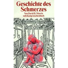 Geschichte des Schmerzes