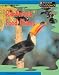 Books : Rainforest Food Chains (Food Webs)