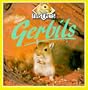 Gerbils (First Pets)