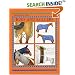 Rugs and Rollers (Threshold Picture Guide)