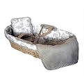 Tadpoles Toile Moses Basket 4-pc. Set- Sage