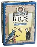 Professor Noggin &acute; s Card Game Series - Wildlife Safari - B0006ZJPCS