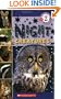 Scholastic Reader Level 2: Night Creatures