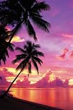 Tahitian Sunset Beach Palms Ocean 24X36 Poster Pp30704