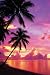 Tahitian Sunset (Palm Trees) Art Poster Print - 24