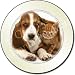 BASSETT HOUND DOG & KITTEN Tax Disc Holder