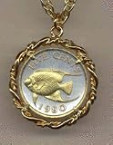 Bermuda 5 Cent Angel Fish Two Tone Gold Plated Bezel Coin Pendant with 18O Chain