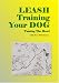 Leash Train Your Dog
