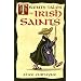 Twenty Tales of Irish Saints