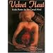 Velvet Heat: Erotic Poetry for the Carnal Mind
