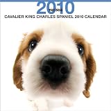 THE DOG キャバリア・キング・チャールズ・スパニエル 2010年 カレンダー