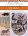 Cross Stitch Collection - On Safari (David & Charles Cross Stitch Collections)