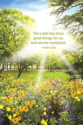 Black-eyed Susans Summer Bulletin (Pkg of 50)