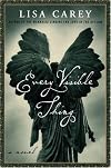 Every Visible Thing: A Novel