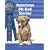American Pit Bull (Breeders' Best:  A Kennel Club Book)